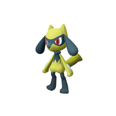 Pokémon legends-arceus Shiny Riolu