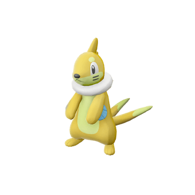 Pokémon legends-arceus Shiny Buizel